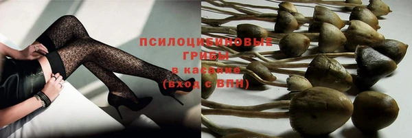 стаф Саяногорск