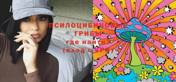 стаф Саяногорск