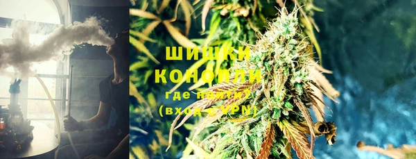 стаф Саяногорск