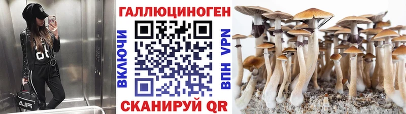 Псилоцибиновые грибы мицелий  магазин  наркотиков  Александров 