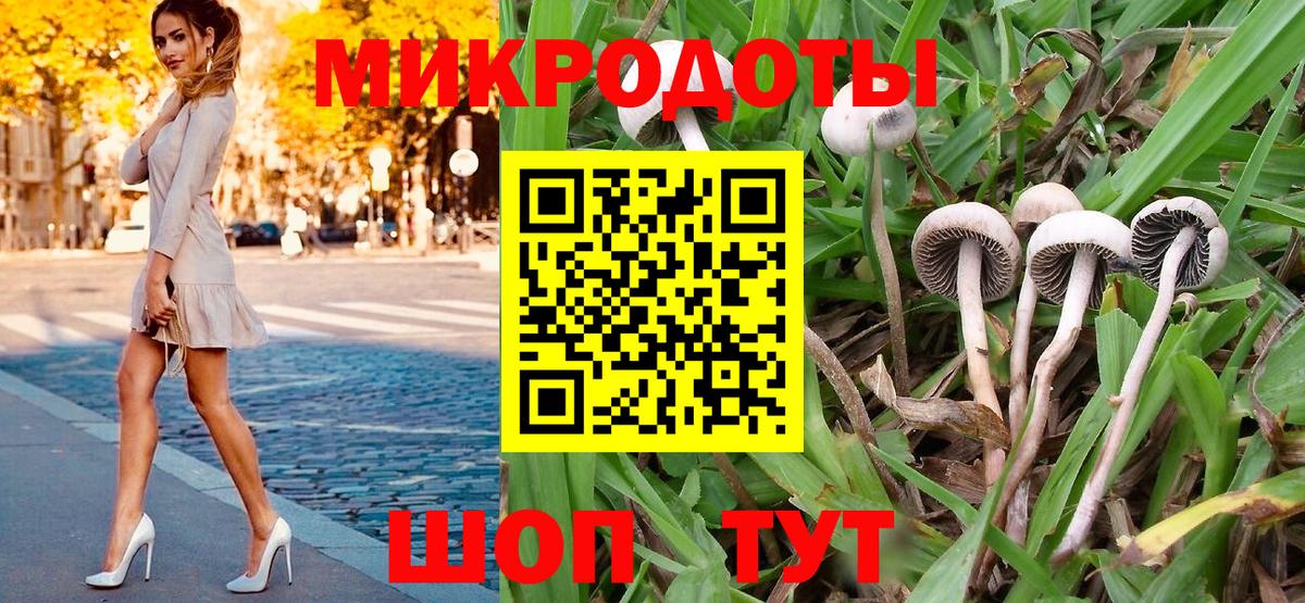 Александров  Галлюциногенные грибы Magic Shrooms  Псилоцибиновые грибы прущие грибы  Вход с VPN 