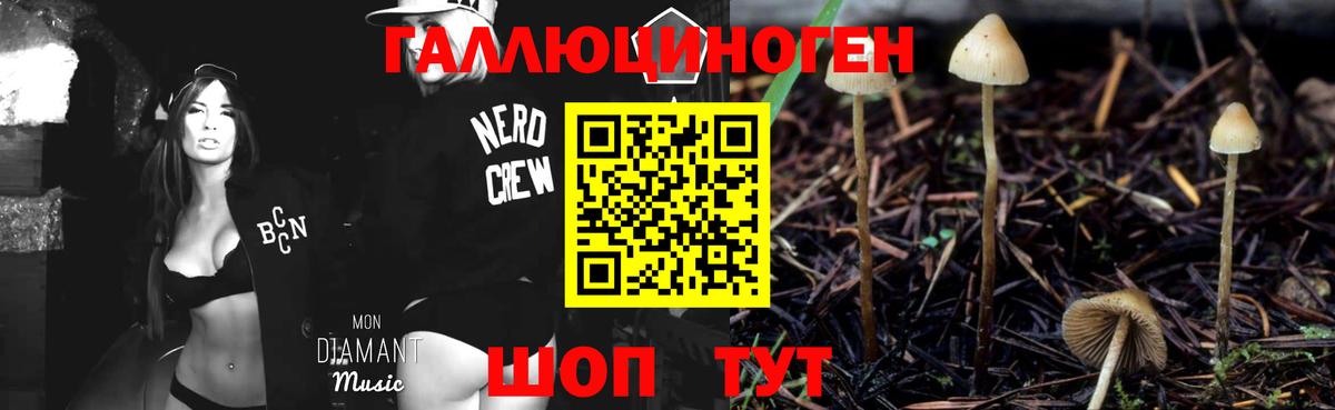 Галлюциногенные грибы MAGIC MUSHROOMS Александров